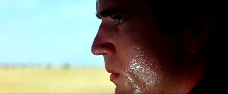 Photo 2 du film : Mad Max