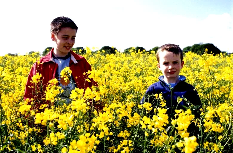 Photo 4 du film : Millions