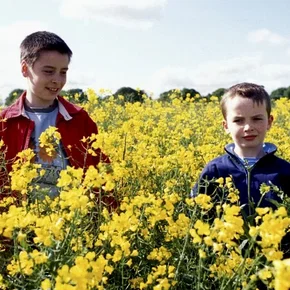 Photo du film : Millions