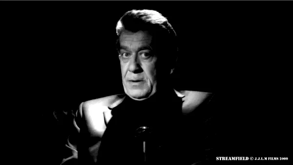 Photo 10 du film : Streamfield - Les carnets noirs