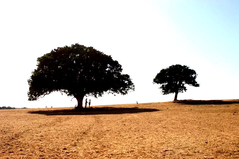 Photo 8 du film : Adama, mon kibboutz