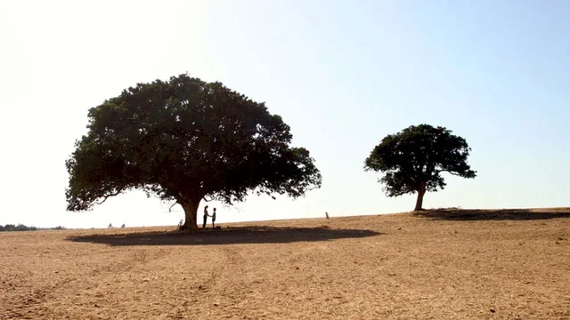 Photo du film : Adama, mon kibboutz