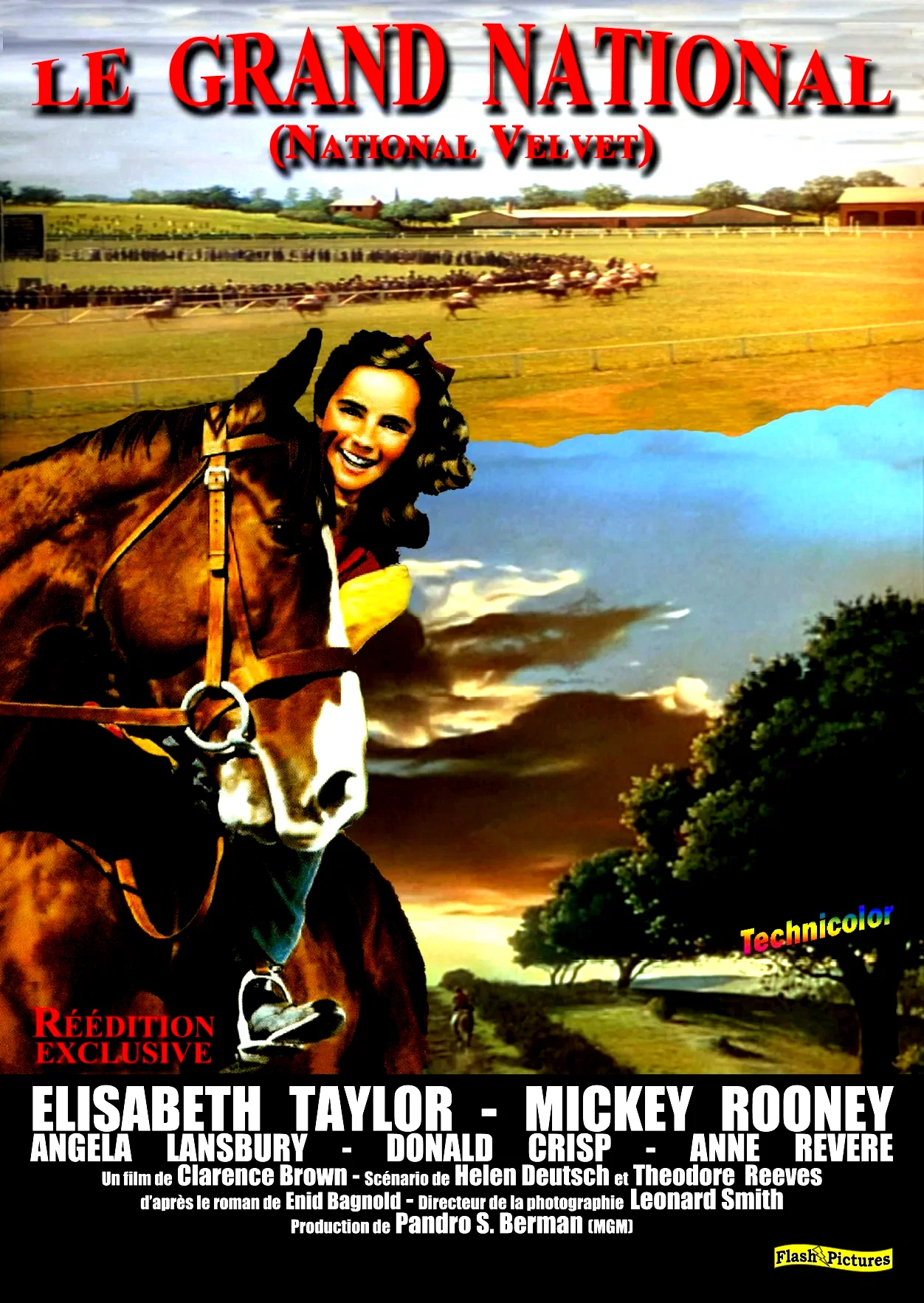 Affiche du film : Le Grand national