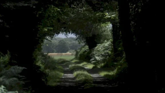 Photo 6 du film : Le temps des grâces