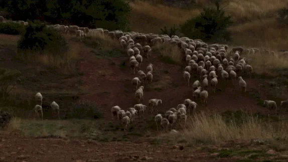 Photo 11 du film : Le temps des grâces