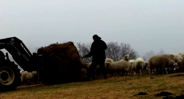 Photo 15 du film : Le temps des grâces