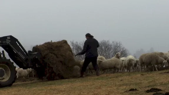 Photo 15 du film : Le temps des grâces