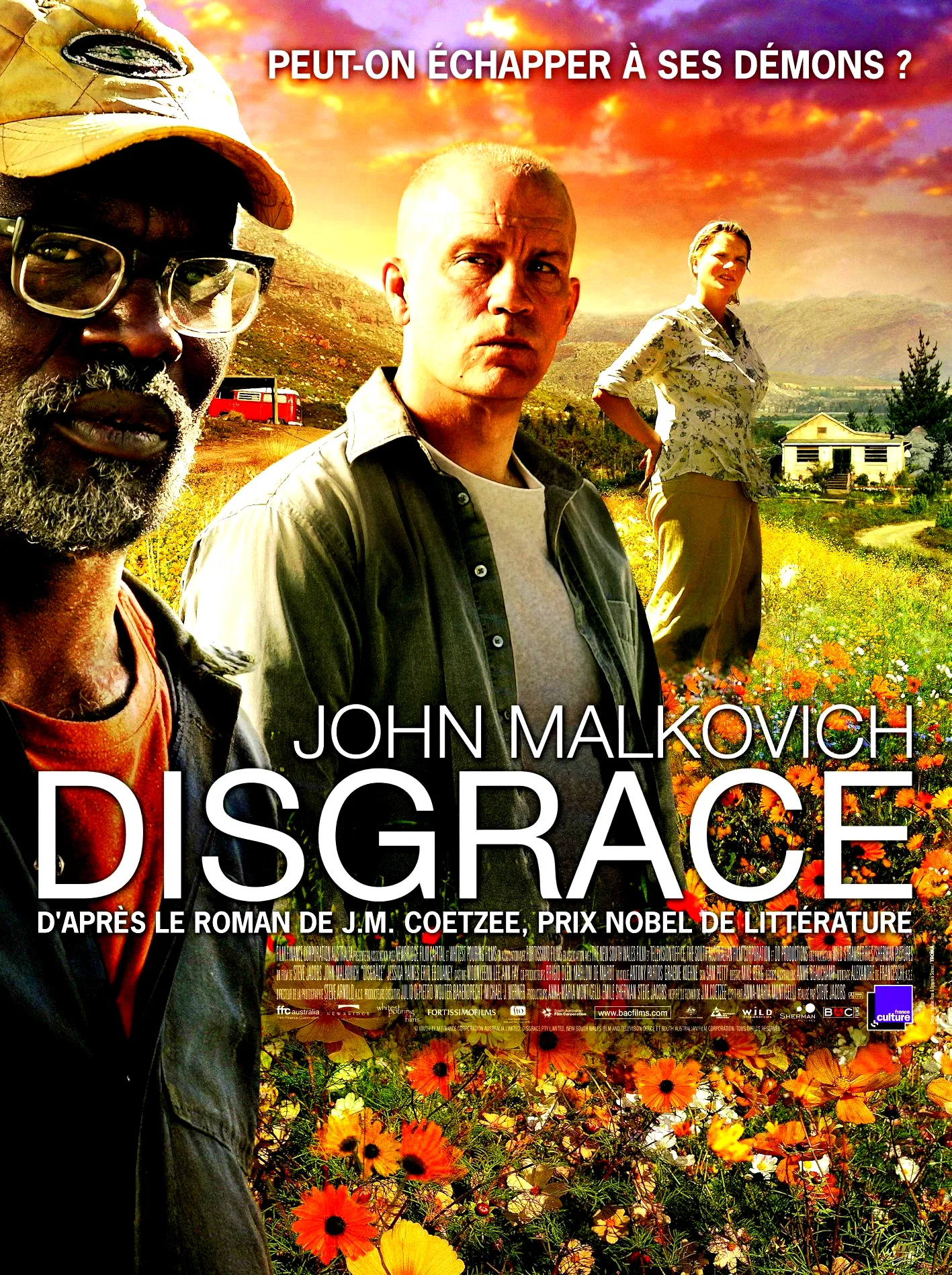 Affiche du film : Disgrace 