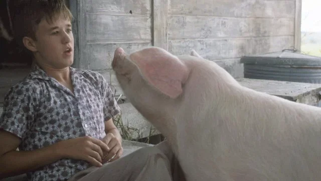 Photo 14 du film : Le Secret des frères Mac Cann