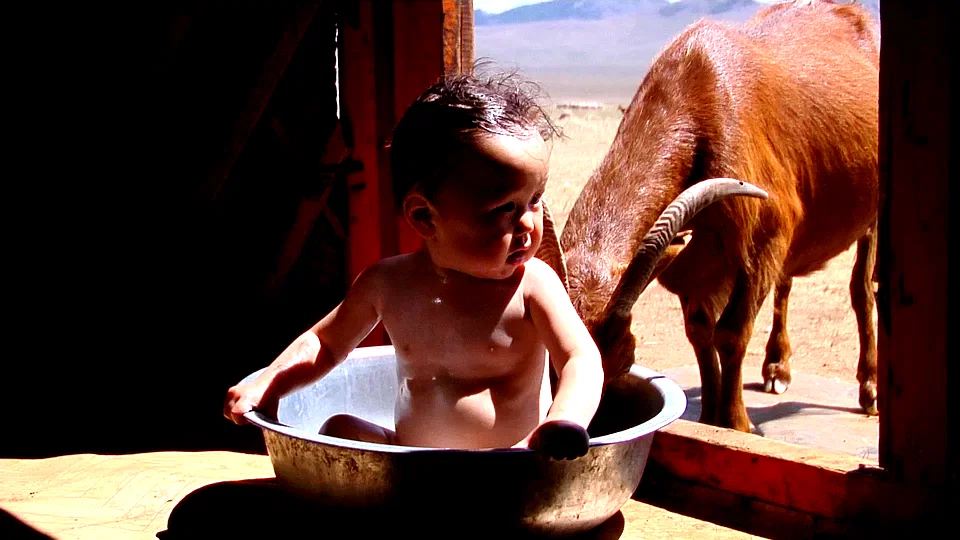 Photo 3 du film : Bébés