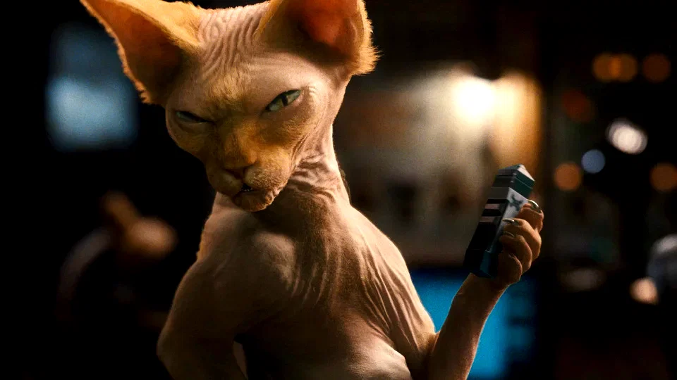 Photo du film : Comme chiens et chats - La Revanche de Kitty Galore 