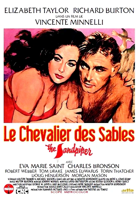 Affiche du film : Le Chevalier des sables