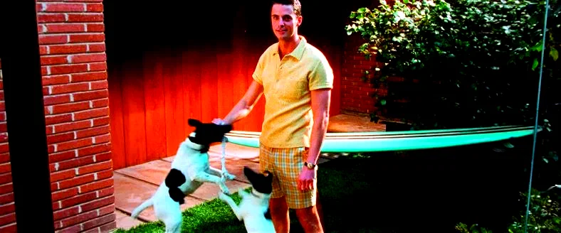 Photo 27 du film : A Single Man