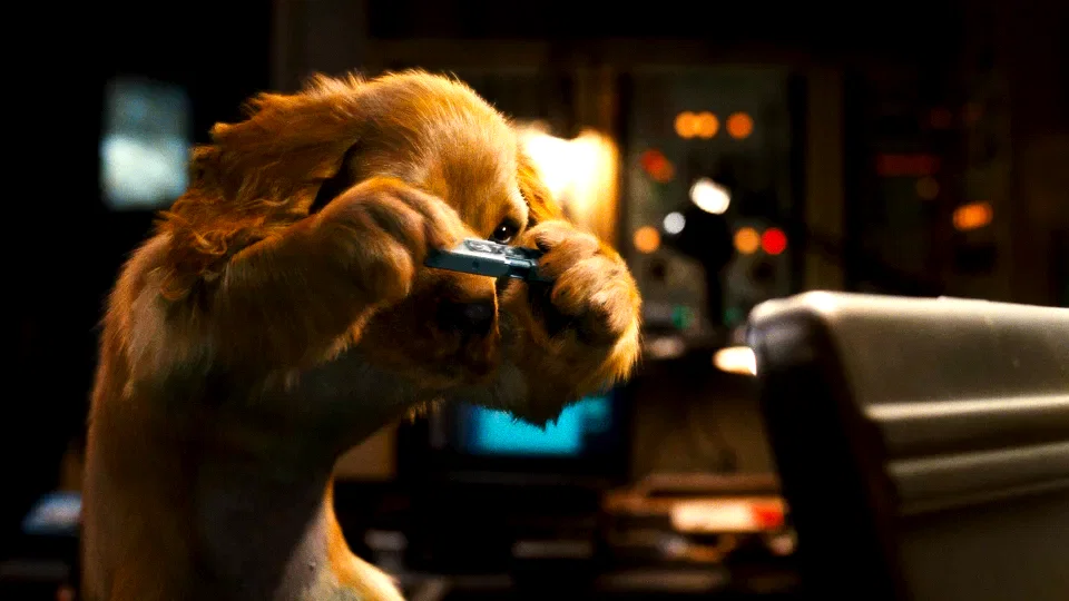 Photo du film : Comme chiens et chats - La Revanche de Kitty Galore 