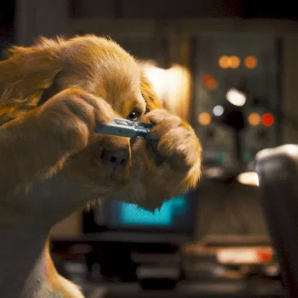 Miniature photo du film : Comme chiens et chats - La Revanche de Kitty Galore 