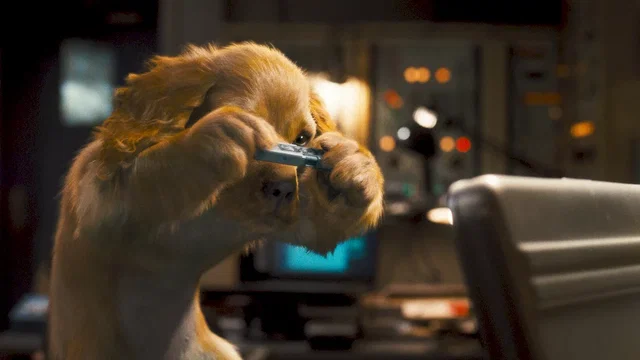 Photo du film : Comme chiens et chats - La Revanche de Kitty Galore 