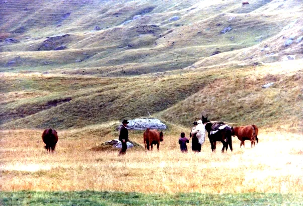 Photo 4 du film : La Trace