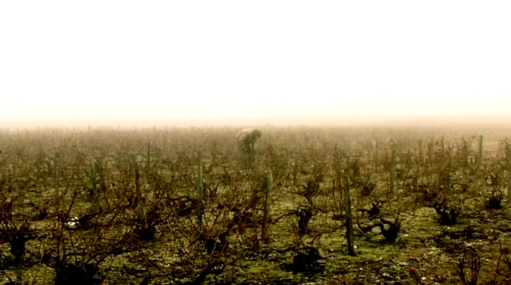 Photo du film : Bernard, ni Dieu ni chaussettes