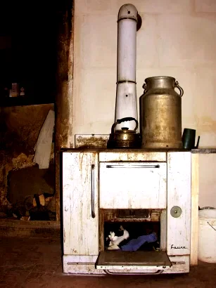 Photo du film : Bernard, ni Dieu ni chaussettes