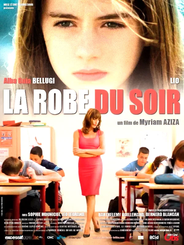 Affiche du film : La Robe du soir 