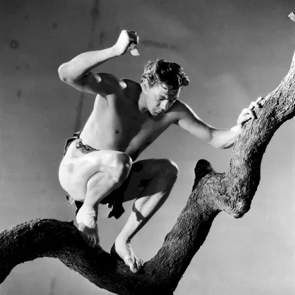 Miniature photo du film : Tarzan, l'homme singe
