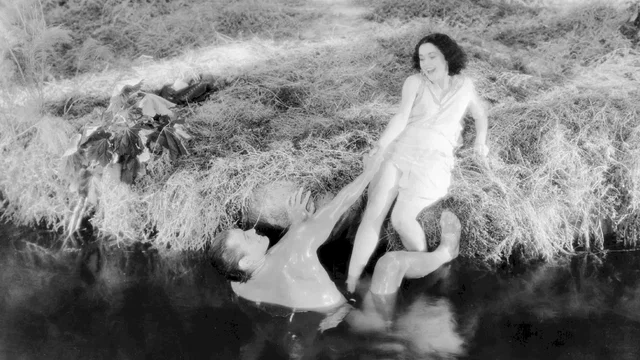 Photo du film : Tarzan, l'homme singe