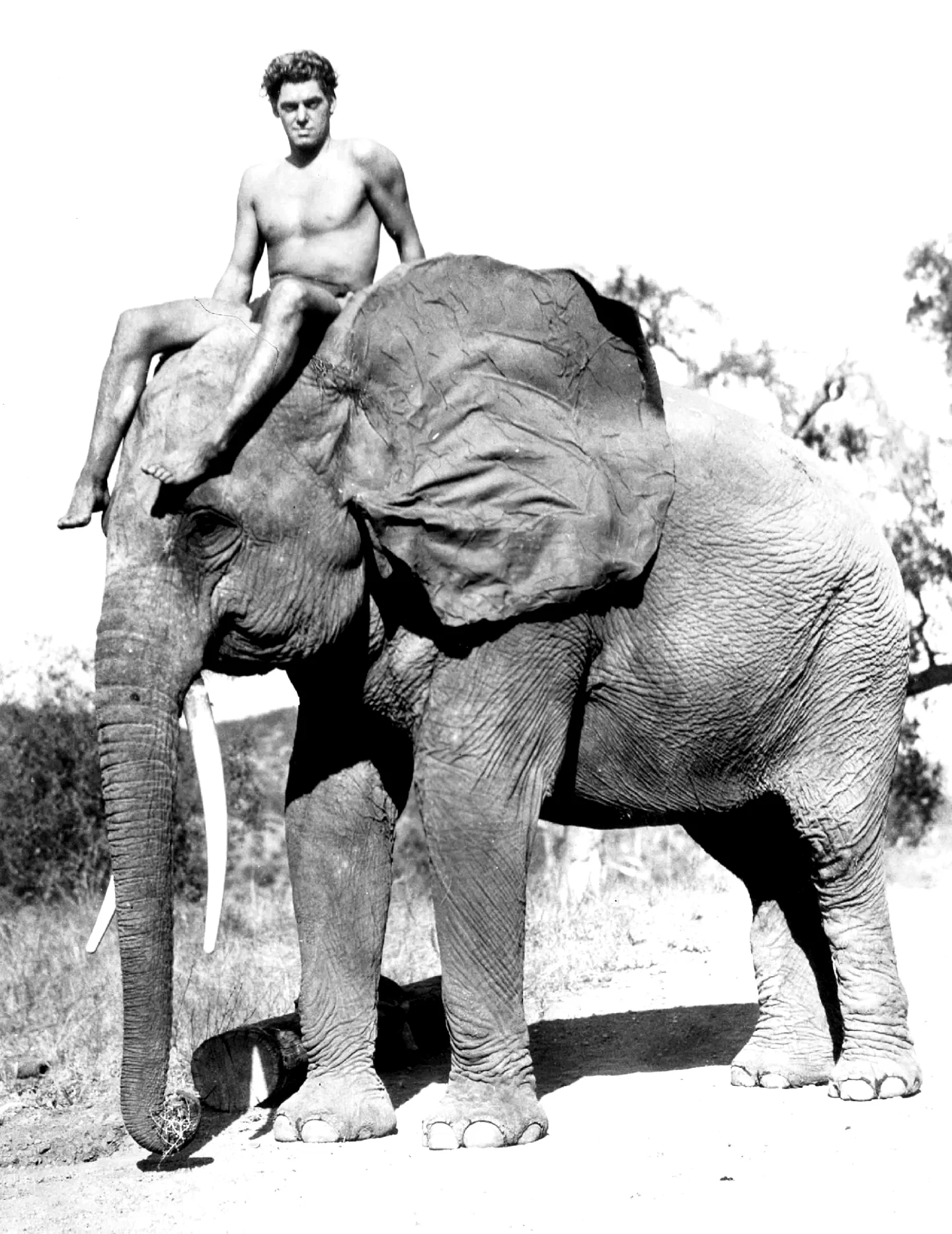 Photo du film : Tarzan, l'homme singe