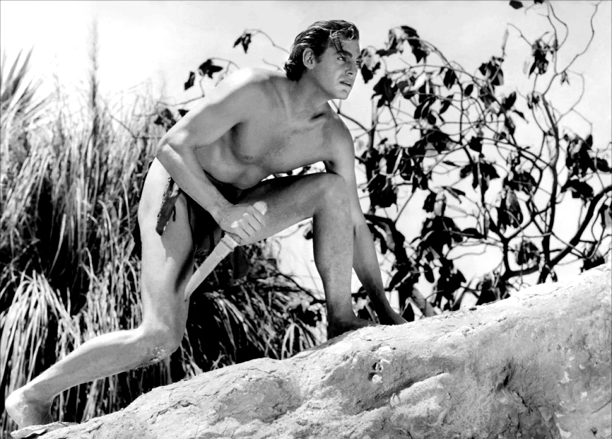 Photo du film : Tarzan, l'homme singe