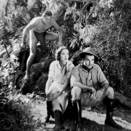 Miniature photo du film : Tarzan, l'homme singe