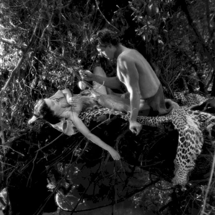 Miniature photo du film : Tarzan, l'homme singe