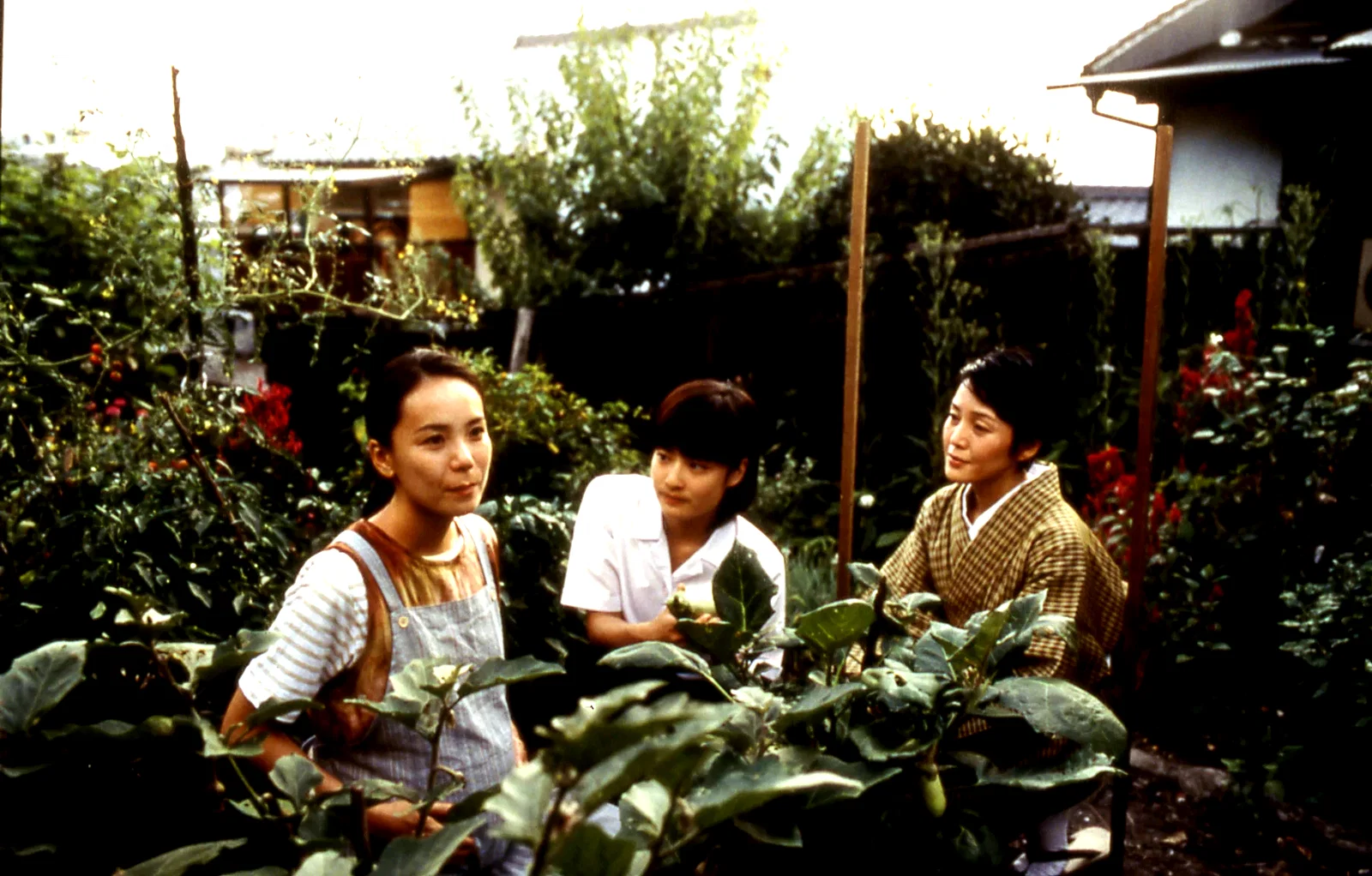 Photo du film : Shara