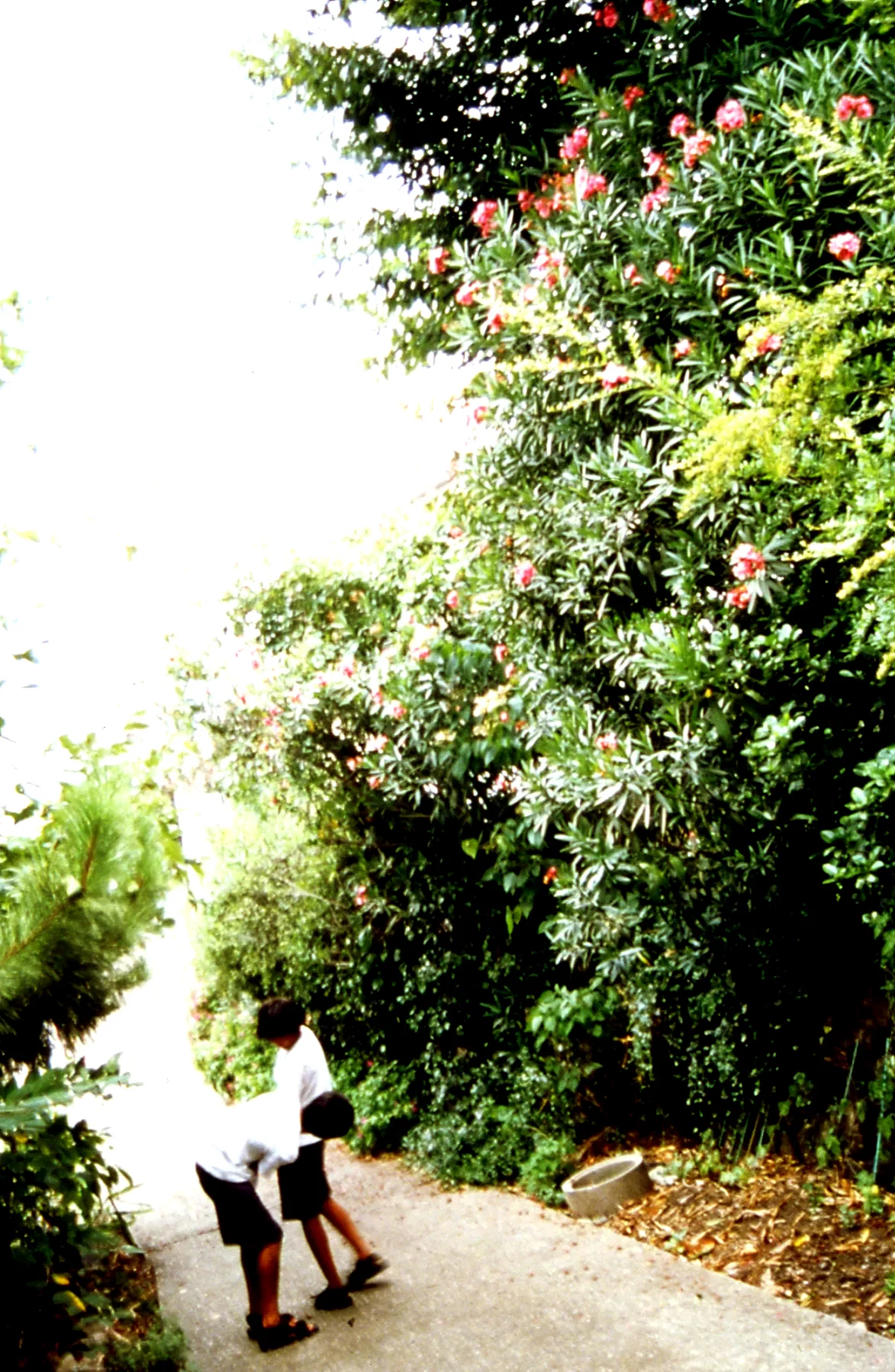 Photo du film : Shara