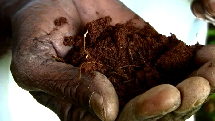 Photo du film : Solutions locales pour un désordre global