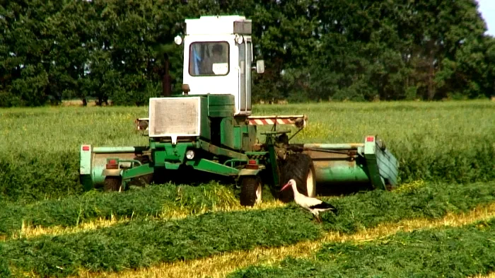 Photo du film : Solutions locales pour un désordre global