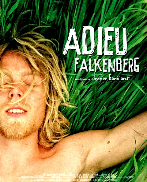 Affiche du film : Adieu Falkenberg