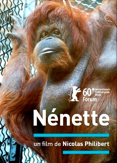 Affiche du film : Nénette