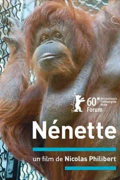 Affiche du film = Nénette