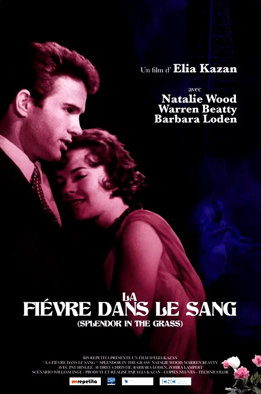 Affiche du film : La Fièvre dans le sang