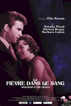 Affiche du film La Fièvre dans le sang