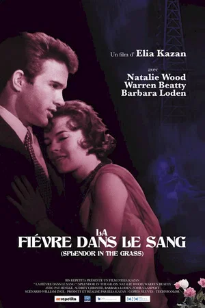 Affiche du film : La Fièvre dans le sang
