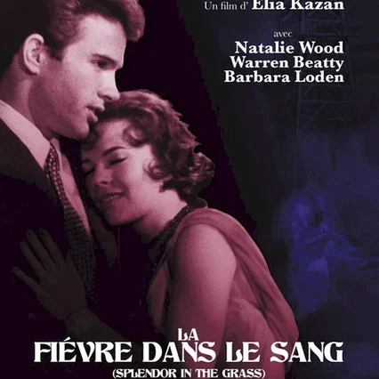 Miniature photo du film : La Fièvre dans le sang