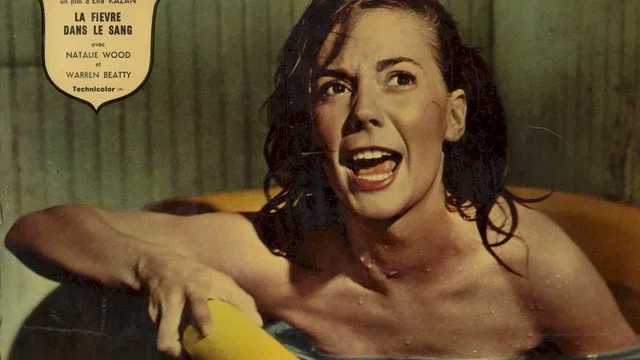 Photo du film : La Fièvre dans le sang