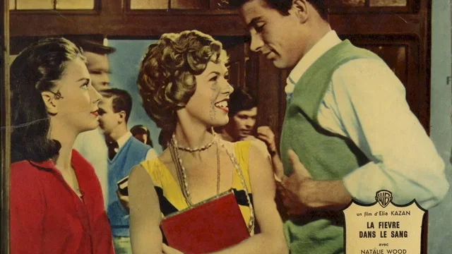Photo du film : La Fièvre dans le sang