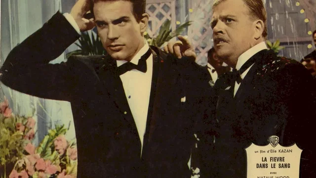 Photo du film : La Fièvre dans le sang