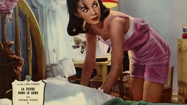 Photo du film : La Fièvre dans le sang