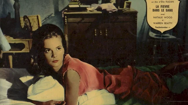 Photo du film : La Fièvre dans le sang