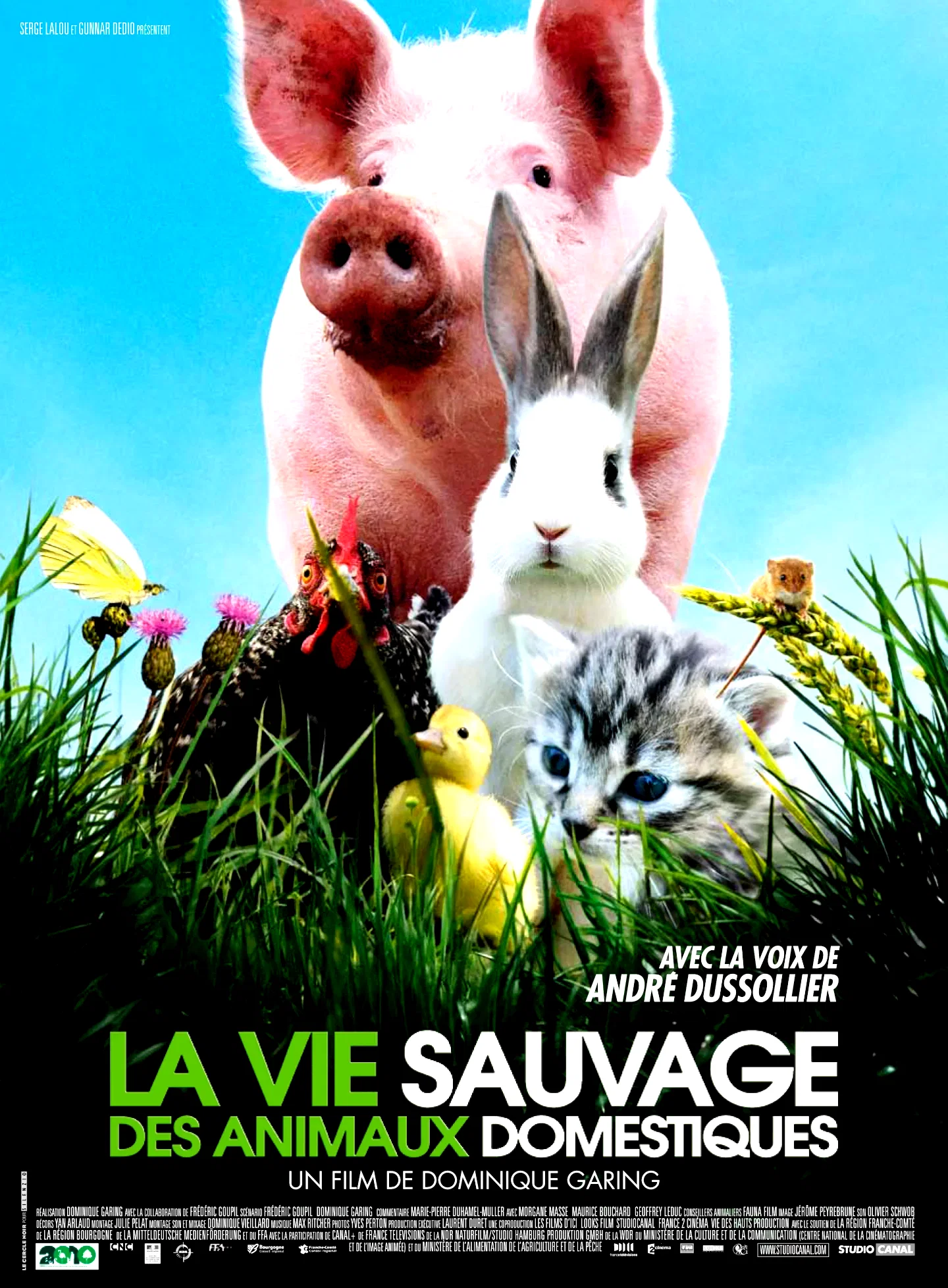 Affiche du film : La vie sauvage des animaux domestiques 
