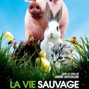 Photo du film : La vie sauvage des animaux domestiques 