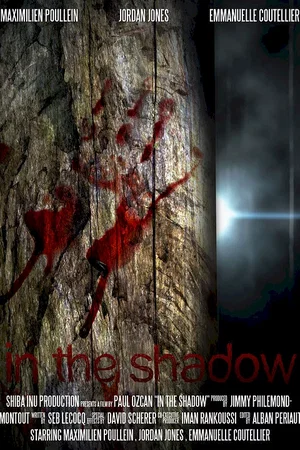 Photo 2 du film : In the shadow 