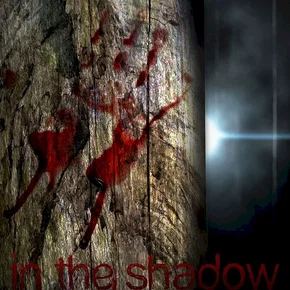 Photo du film : In the shadow 